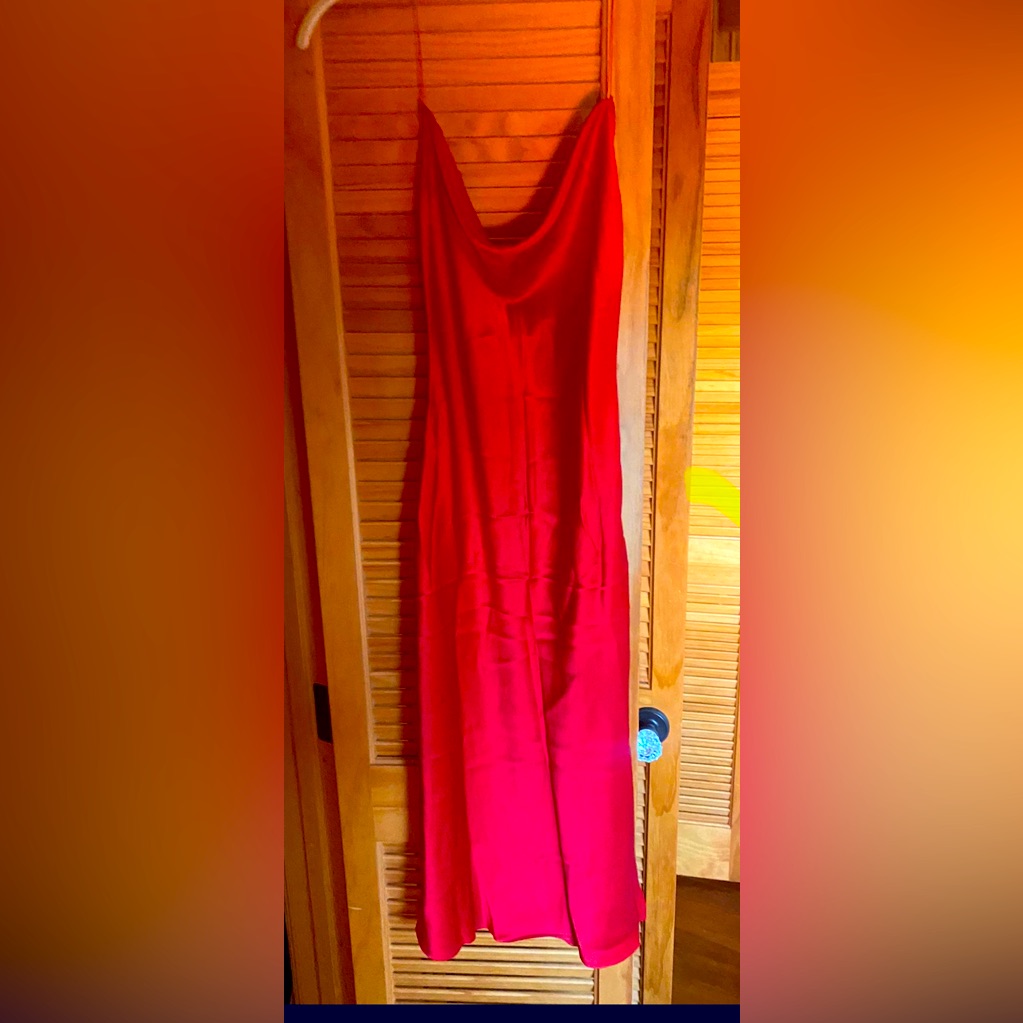 Are You Am I Silk Slip Dress Red Raw-Edge Trim Sleeveless With Cowl Neck.